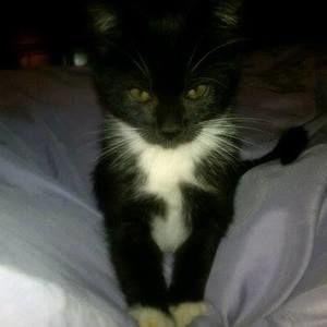 Meet your Posher, Carli