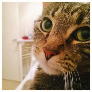 Meet your Posher, Crystal