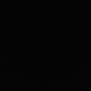 Meet your Posher, Elissa