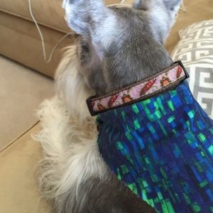 Meet your Posher, Robyn