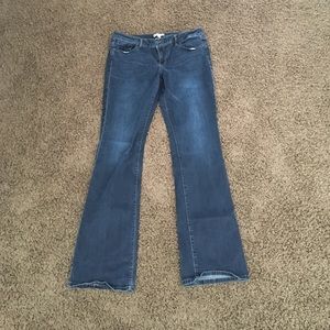 CAbi boot cut jeans