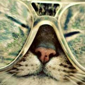 Meet your Posher, Ally