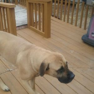 Meet your Posher, Barbara