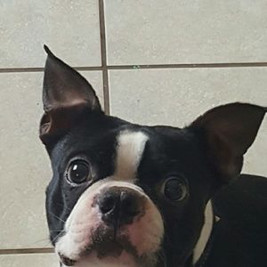 Meet your Posher, April