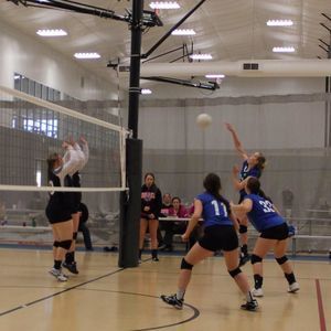 Meet your Posher, Shailey