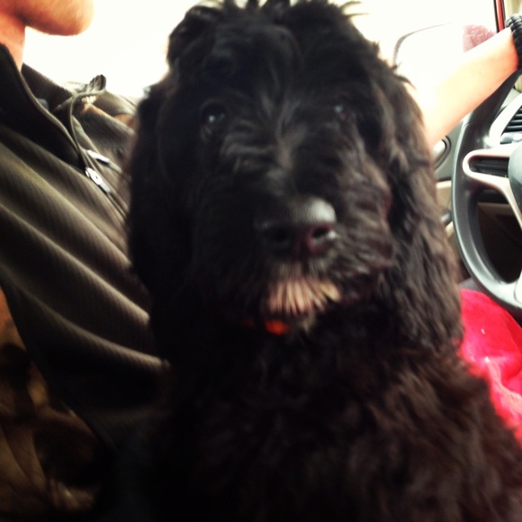 Meet your Posher, Kari