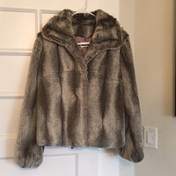 Fur Coat in Grey Chinchilla