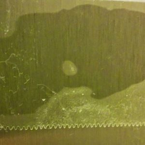 Meet your Posher, Adam