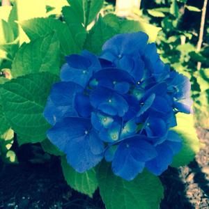 Meet your Posher, Patricia