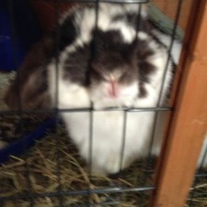 Meet your Posher, Kaitlyn