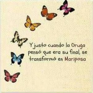 Meet your Posher, Thiana