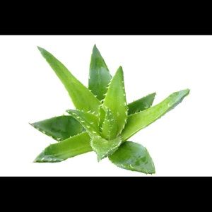 Meet your Posher, Jake