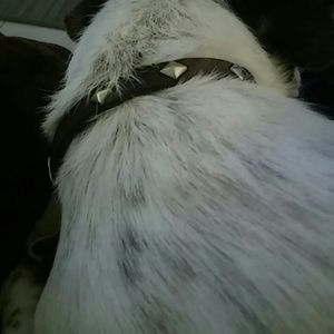 Meet your Posher, Gabriel