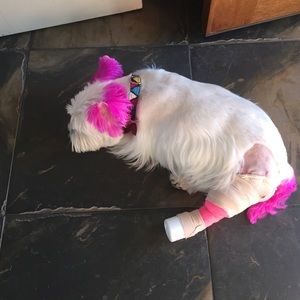 Meet your Posher, Susan