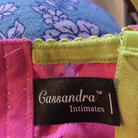 Cassandra  Intimates PushUp - Picture 4 of 4