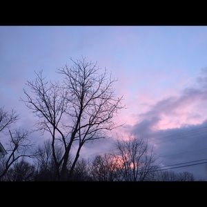 Meet your Posher, Terri