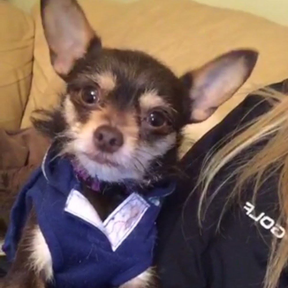 Meet your Posher, Tina