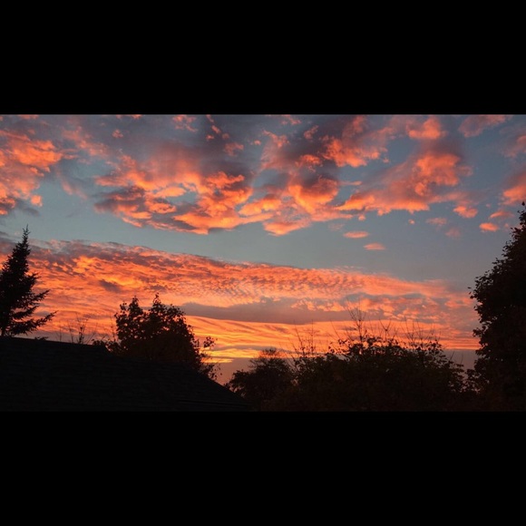 Meet your Posher, Kate - Picture 2 of 2