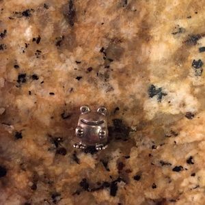 Frog pandora charm