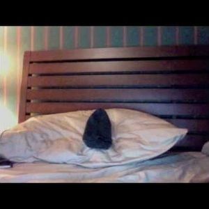 Meet your Posher, Eppley