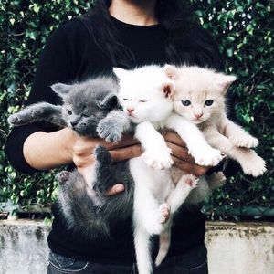 Meet your Posher, Lindsay