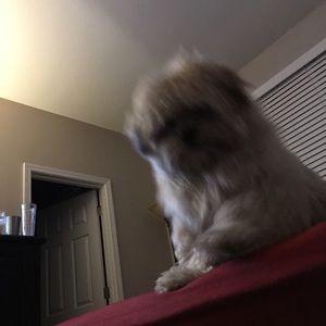 Meet your Posher, Chris