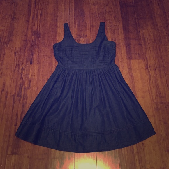 Denim Fit and Flare Dress