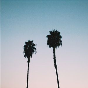 Meet your Posher, Coralis