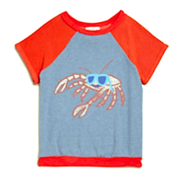 Wildfox tshirt