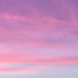 Meet your Posher, Dawn