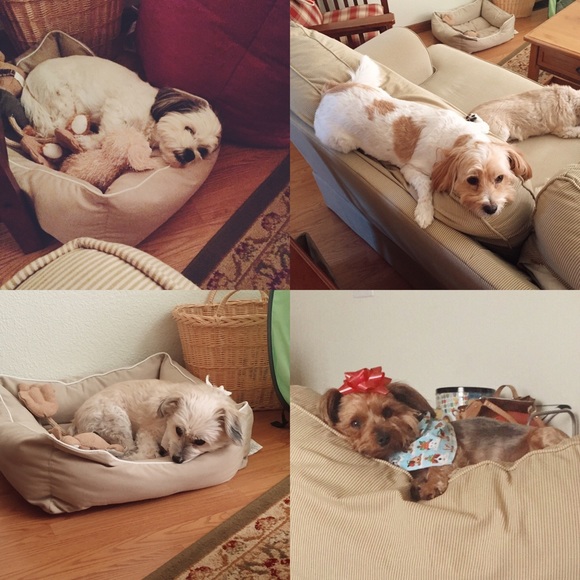 Meet Your Buyer/Seller 💕 - Picture 2 of 2