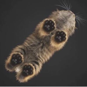 Meet your Posher, Anastasia