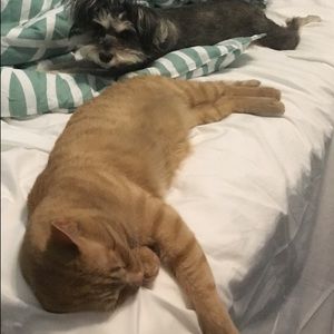 Meet your Posher, Fiona