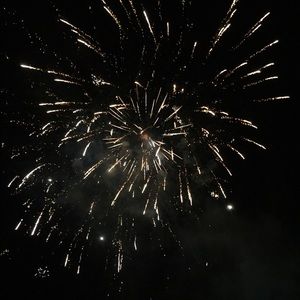 Meet your Posher, Mimi