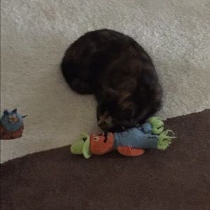 Meet your Posher, Kimberly