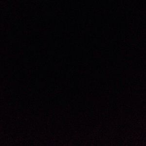 Meet your Posher, Alannah