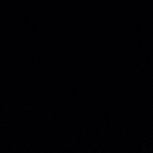 Meet your Posher, Samara