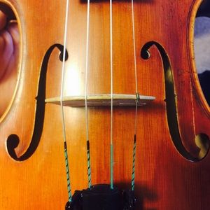 Meet your Posher, Kelsie