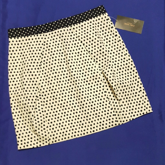 ZARA Basic Skirt