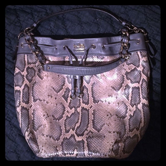 Authentic Python Coach Purse