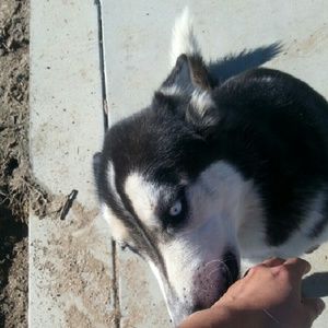 Meet your Posher, Mario