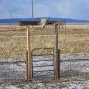 Meet your Posher, Sophia