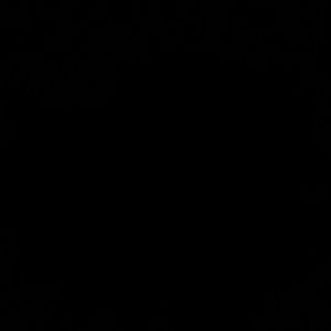 Meet your Posher, Sonya