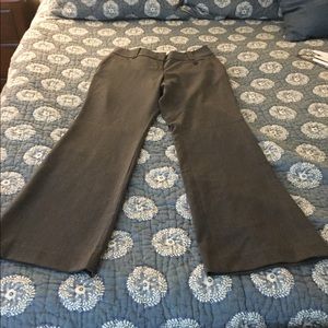 Ann Taylor Julie dress pants
