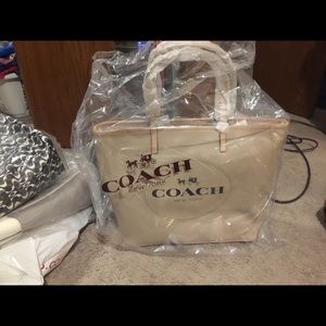 Coach metro horse and carriage