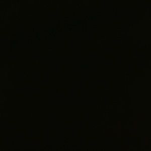 Meet your Posher, Elena