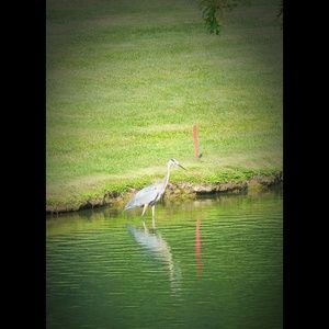 Meet your Posher, Sonja