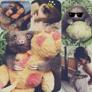 Meet your Posher, Shaye