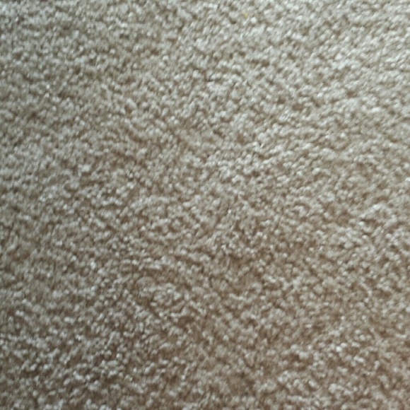 Meet your Posher, Carol - Picture 1 of 1