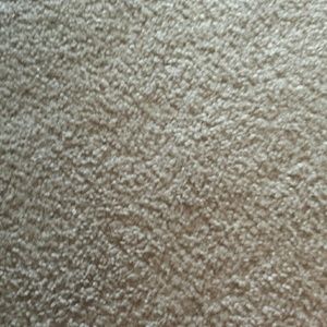 Meet your Posher, Carol